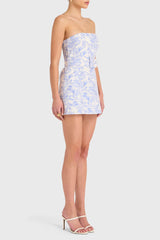 Fae Dress in Toile Brocade